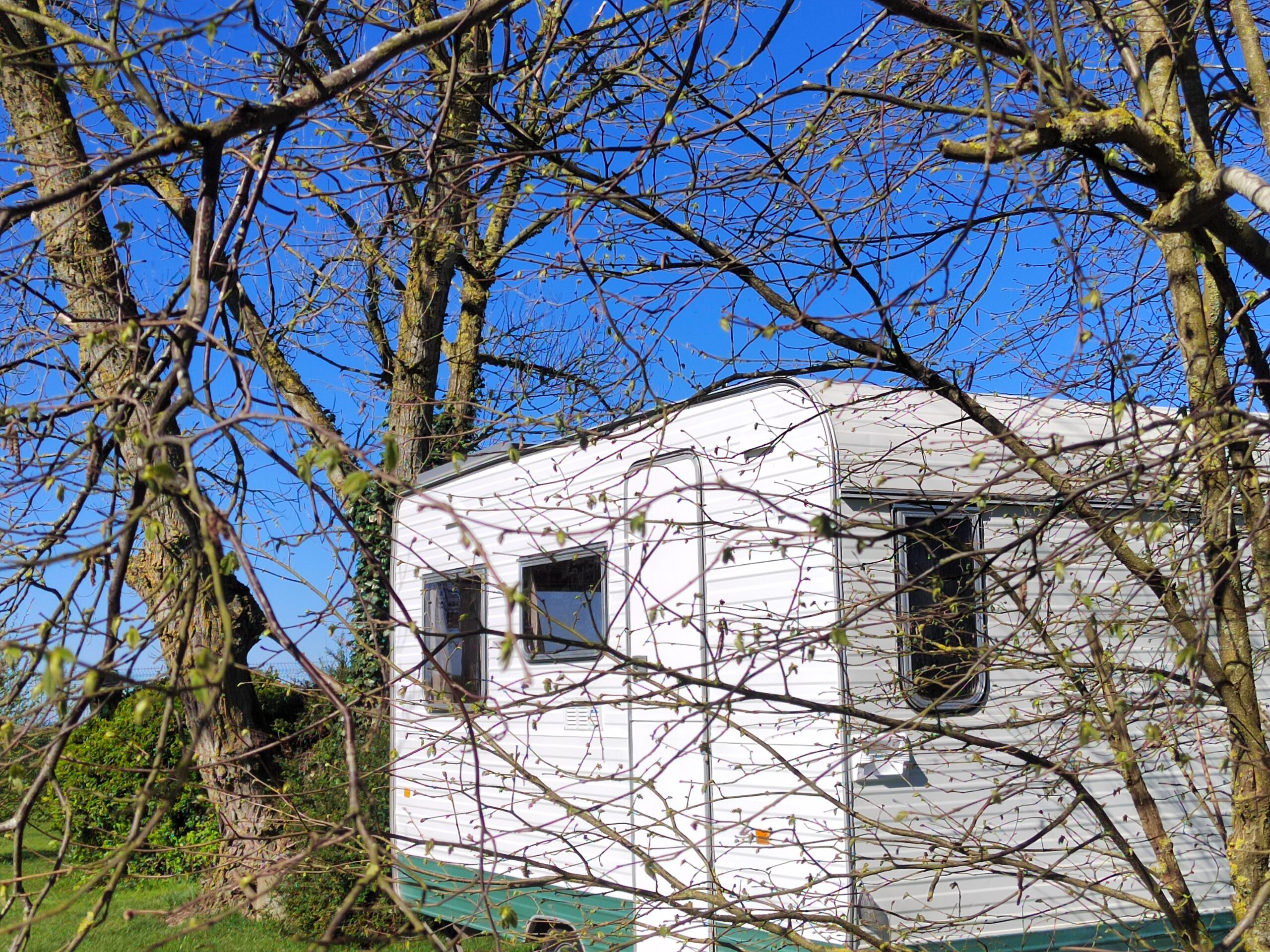 la cabane ambulante 01 15
